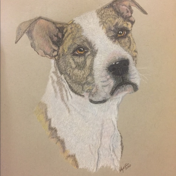 Meet your Posher, Linda - Picture 6 of 17